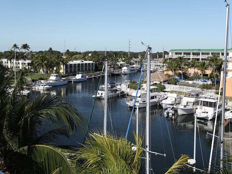 Yachts on Harbor Marina