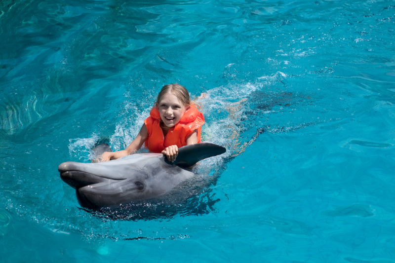 girl riding on the dolphin